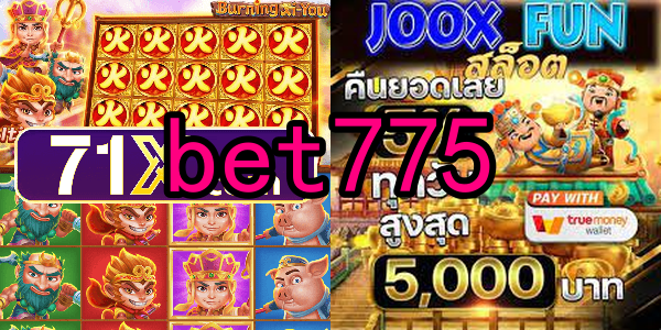 Compatibilidade e Acessibilidade